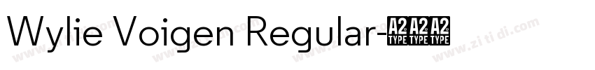 Wylie Voigen Regular字体转换